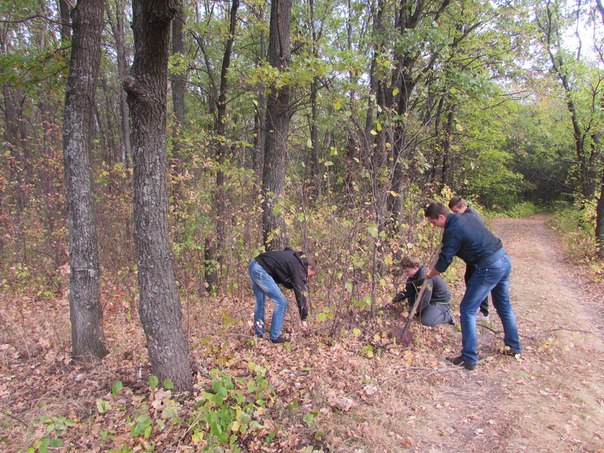 В рамках акции «Тропа здоровья» добровольцы города Грязи очистили Кузовский лес