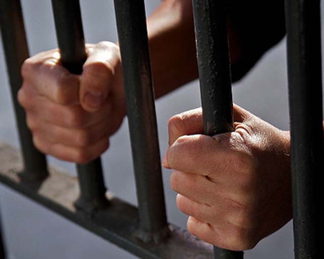 Грязинский рецидивист приговорён к 2 годам лишения свободы