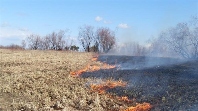 В Грязинском районе с начала апреля произошло 17 выездов на загорание мусора и сухой растительности