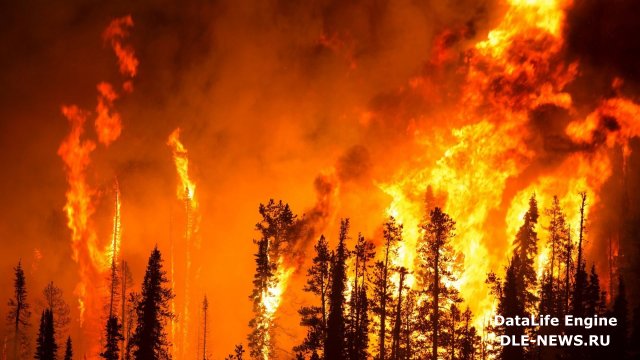 За лесные пожары наказание последует неизбежно