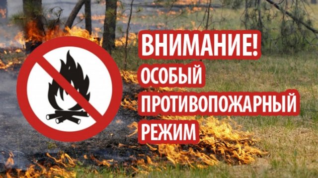 В связи с установлением сухой и жаркой погоды на территории Грязинского района введен особый противопожарный режим
