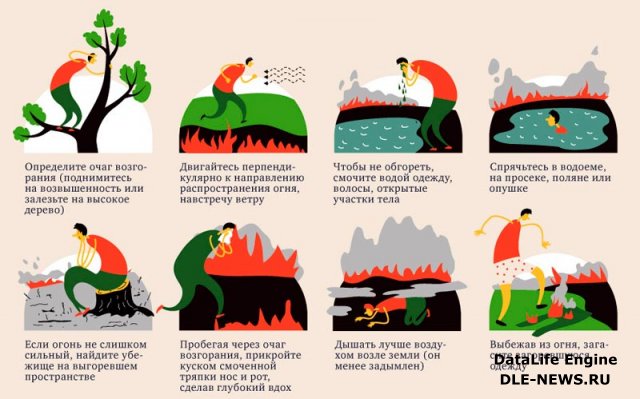 Что делать, если в лесу пожар