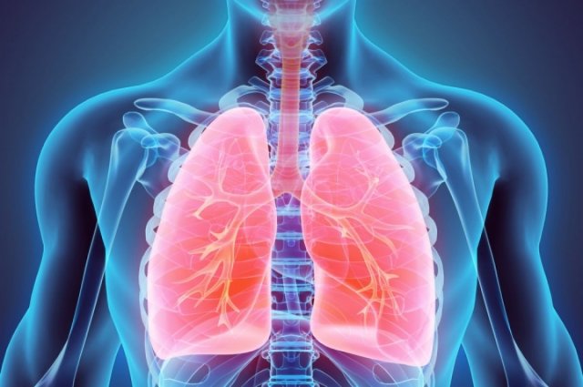 Болезни органов дыхания относятся к наиболее часто встречающимся  сегодня среди населения недугам