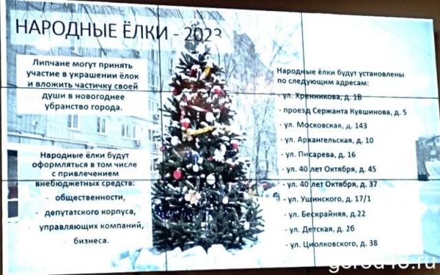 В разных местах Липецка появятся 11 народных новогодних елок